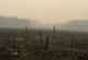 МЧС рассказало о ситуации с лесными пожарами в Якутии — РИА Новости, 21.09.2021