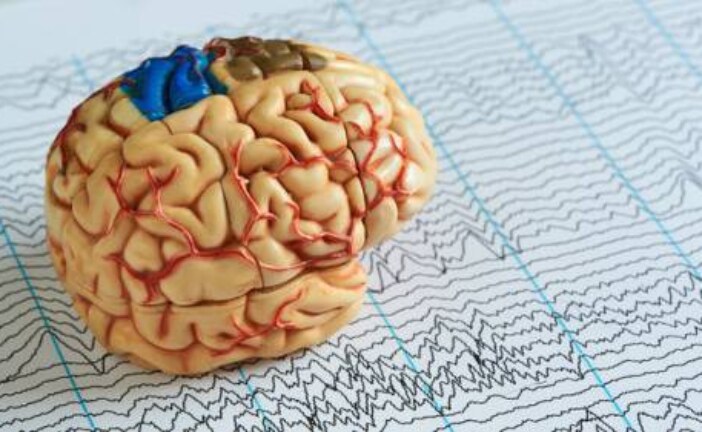Судороги и провалы в памяти могут быть связаны с одной аномалией в мозгу при эпилепсии