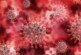 Немецкие ученые: коронавирус на 99,9% создан в лаборатории