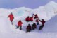 Белые медведи, том ям и оладьи из замерзших яиц: как прошла уникальная Большая Арктическая экспедиция
