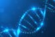Ученые предупреждают об опасности редактирования генов у человеческих эмбрионов