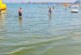 Черное море затянуло зеленой мутью: что происходит на курортах