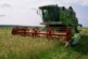 Москва накормит голодающих пшеницей даже после выхода из зерновой сделки
