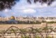 Глава турфирмы Юлия Савицкая прогнозирует существенный урон туризму Израиля