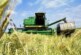 В России назвали условия запрета на экспорт зерна
