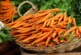 Жительница Шотландии употребила слишком много моркови и стала оранжевой