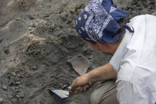 Археологов поразила внутренность найденного куриного яйца древнеримских времен