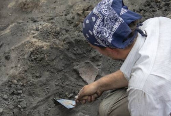 Археологов поразила внутренность найденного куриного яйца древнеримских времен
