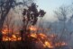 Губернаторам наказали вдвое сократить площадь пожаров: «Будете стоять навытяжку»