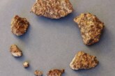 Загадочный состав: российские ученые определили уникальность двух найденных метеоритов